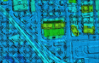 DSM data