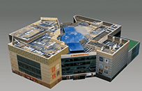 Individual model