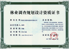 Qualifications and honors certificate 9