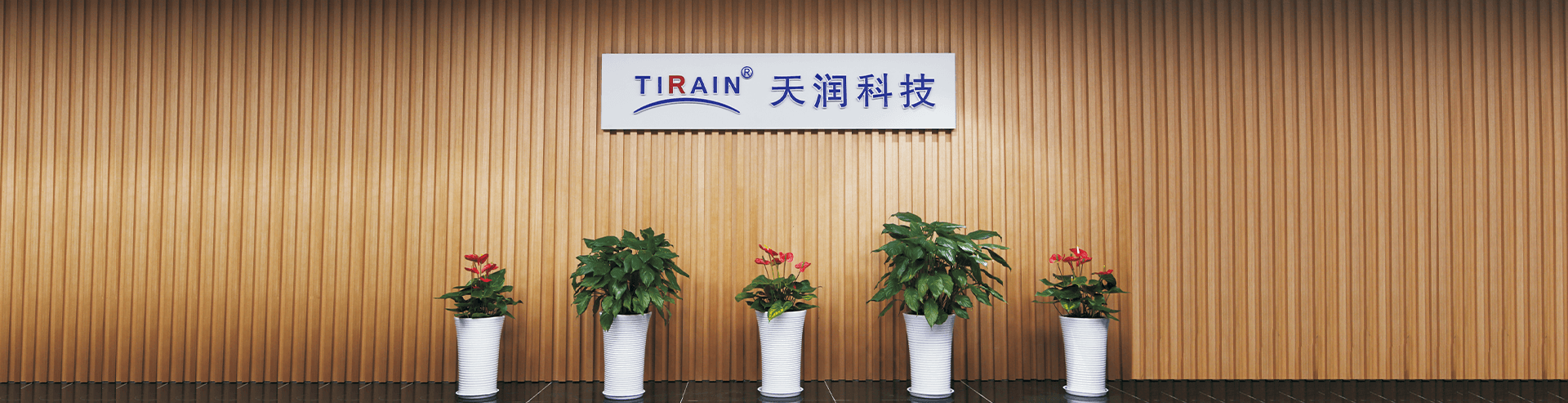 Tianrun Technology company profile