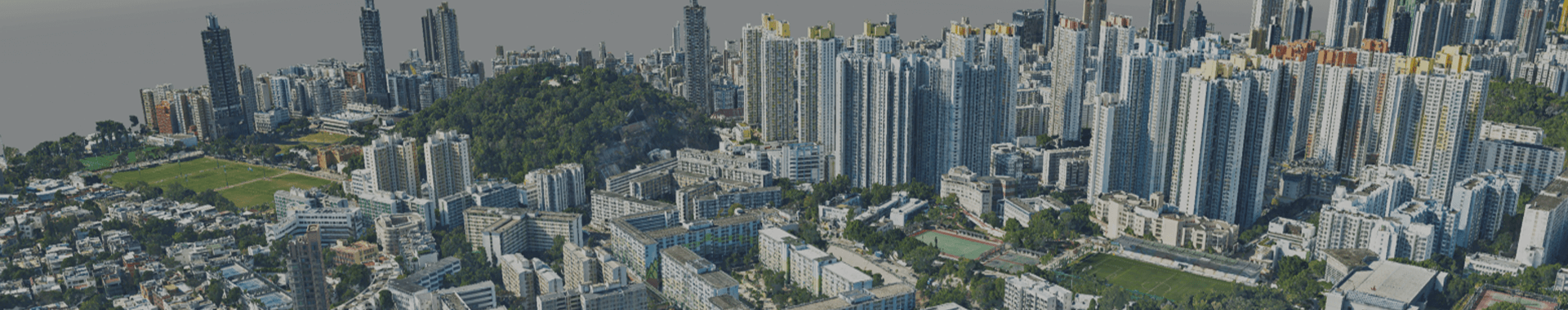 Realistic 3D data services