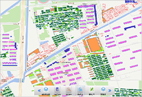 Disaster Risk Survey