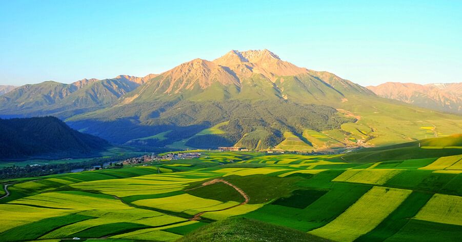 Ecological environment protection solution