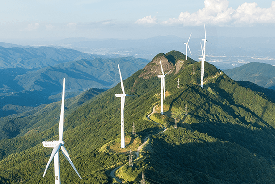 Ecological environment solution