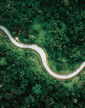 Forestry supervision solution