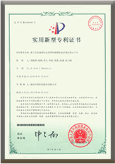 Patent certificate 10